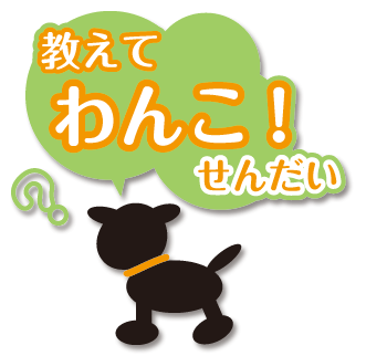 おしえてわんこ仙台